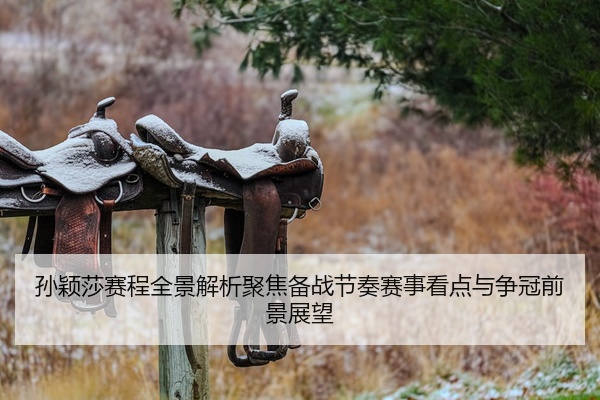 孙颖莎赛程全景解析聚焦备战节奏赛事看点与争冠前景展望